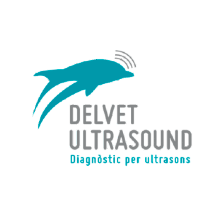 Delvet Ultrasound